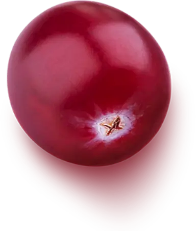 Fruit 2