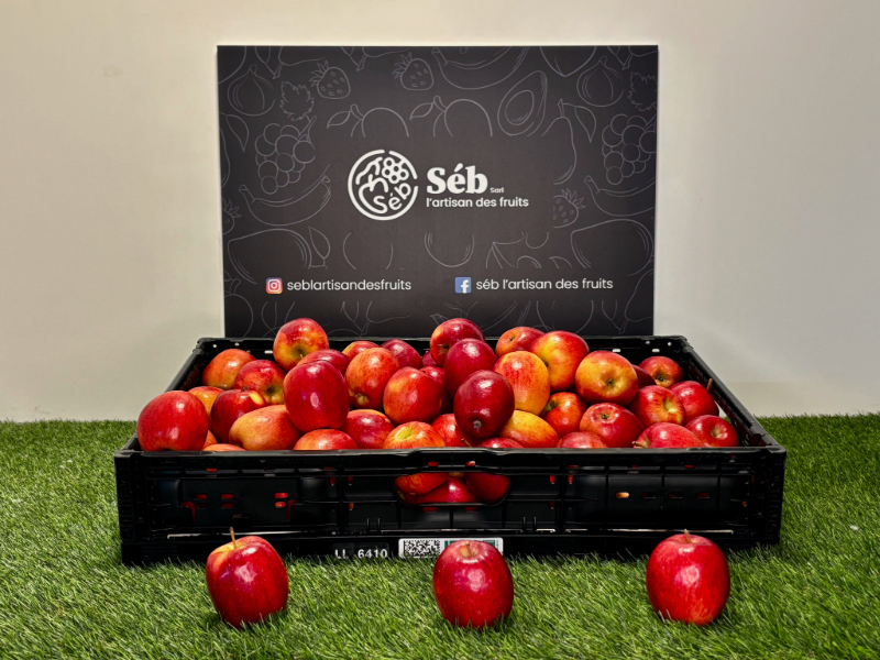 Pomme Sifresh