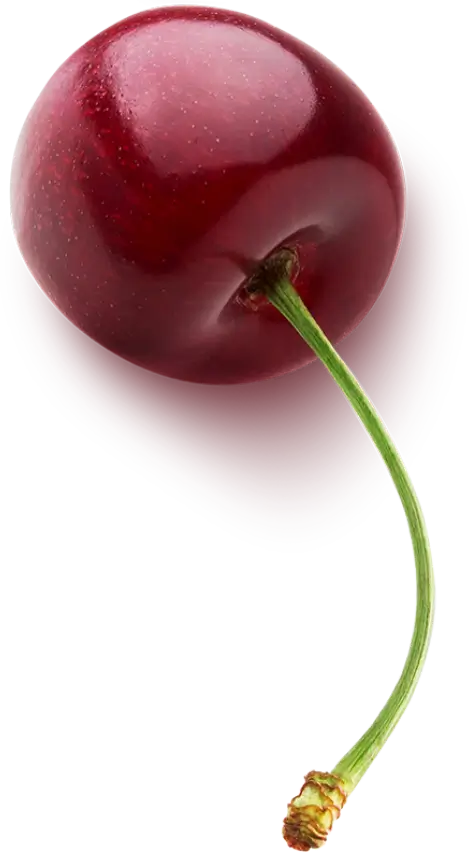 Fruit 4