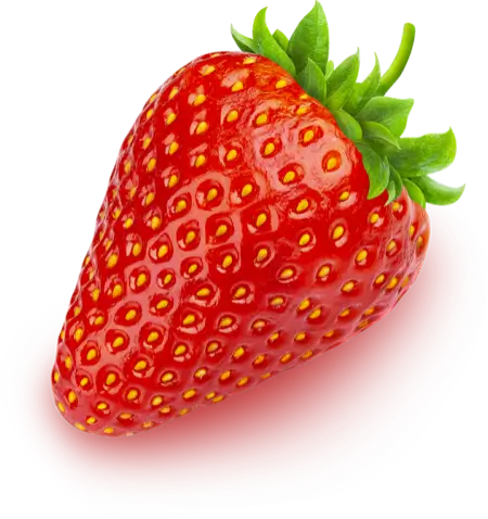 Fruit 7