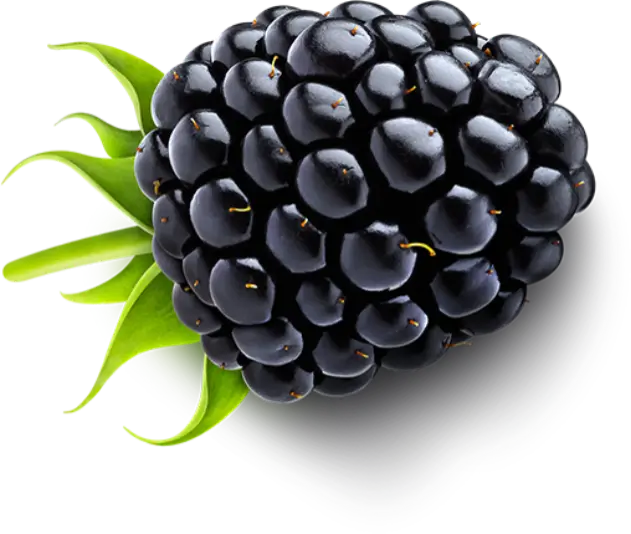 Fruit 8
